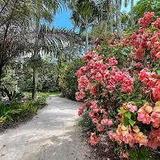 Mounts Botanical Garden