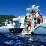 Premium Snorkel Cruise, Luau Buffet and Whale & Dolphin Watching