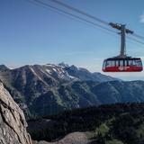 Jackson Hole Aerial Tram and Gondola Rides