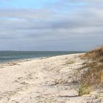 Fort Macon State Park