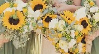 The Wedding Website of Rachel Pritchard and Chad Phillips