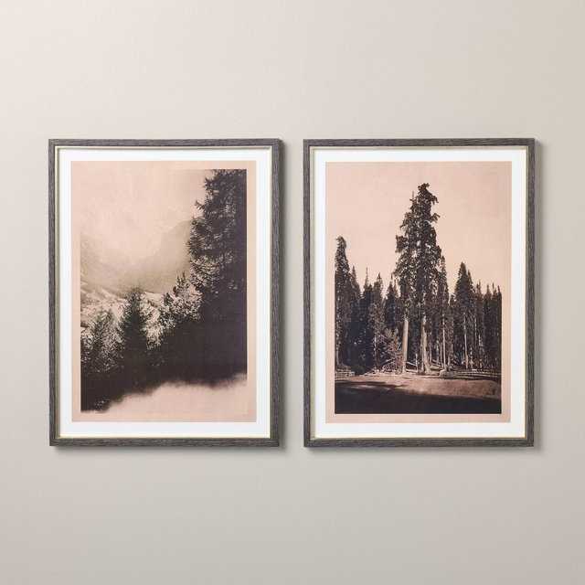 2pc 18"x24" Vertical Vintage Tree Wall Art Set - Hearth & Hand™ with Magnolia