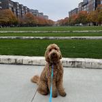 McFerson Commons Park
