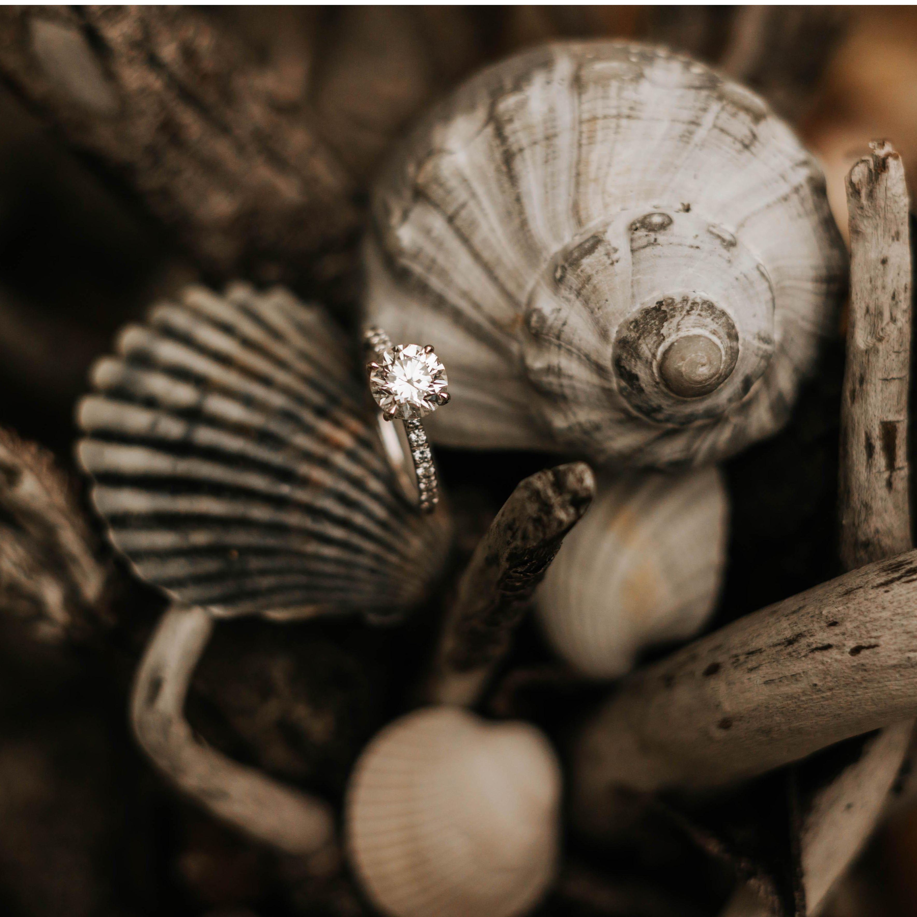 The beautiful ring <3