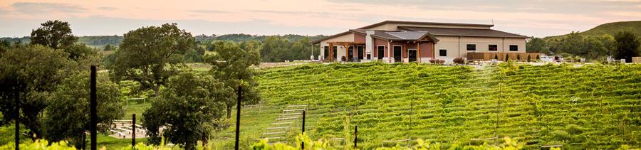 The Wedding Website of Erica Levitt and Chase McCormick