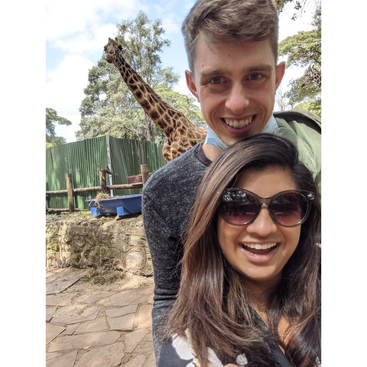 Giraffe Sanctuary in Nairobi