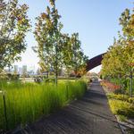 Crescent Park