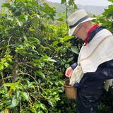Coffee Tour - Cafe Atardecer