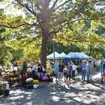 Falls Church Farmers Market