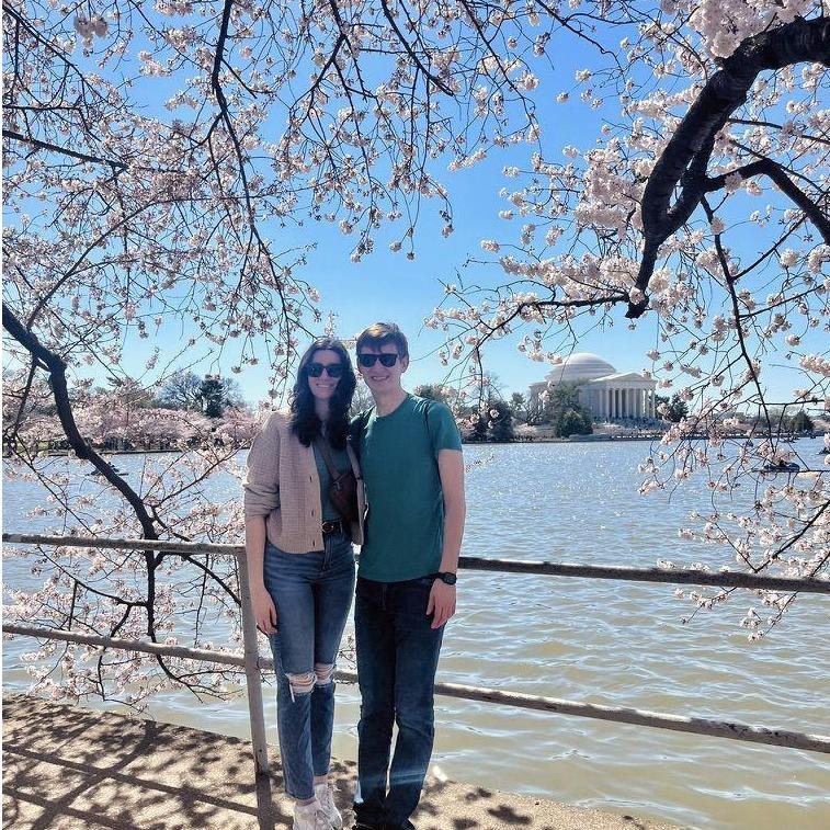 DC Cherry Blossoms