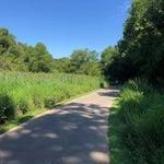 Four Mile Creek Greenway