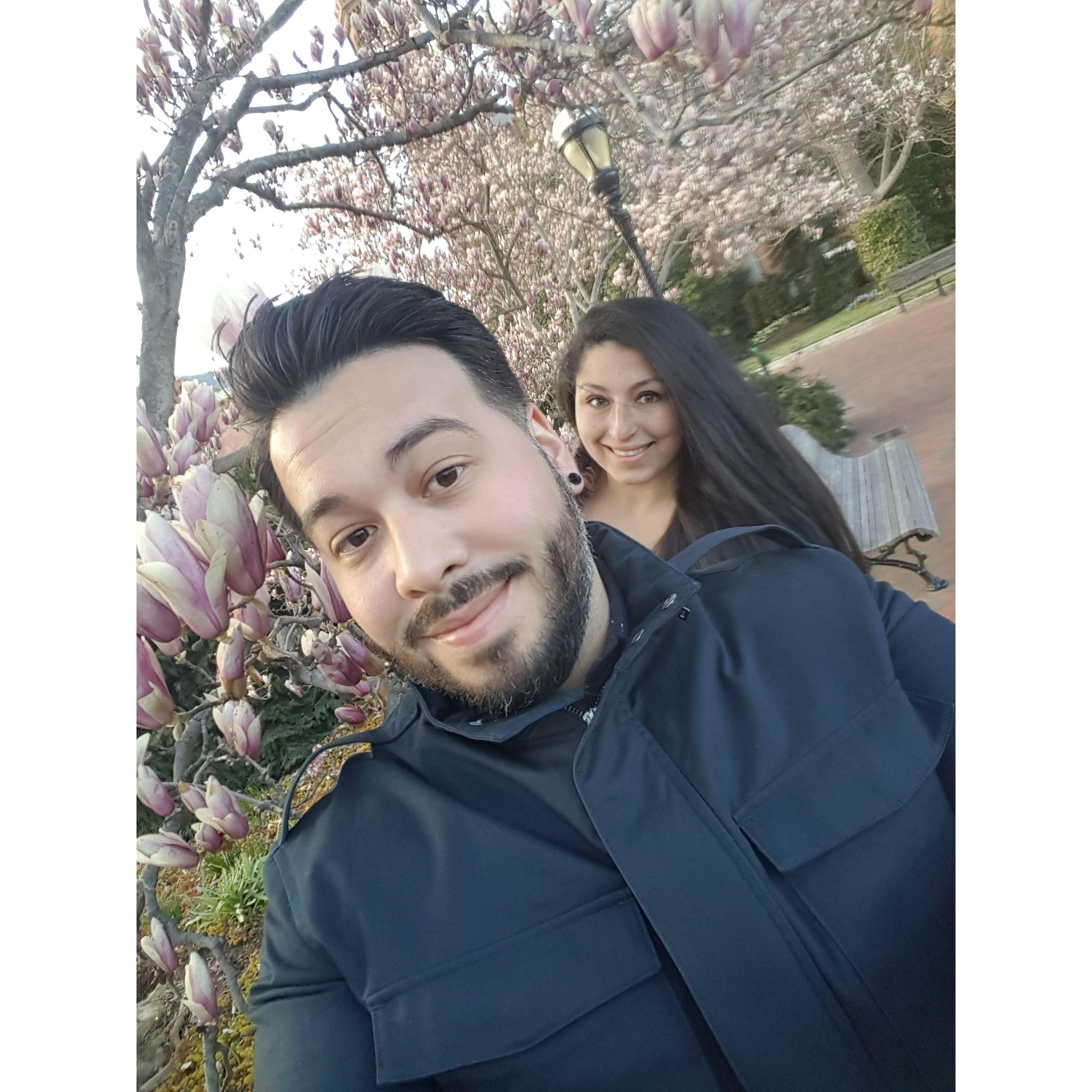 Experiencing the Cherry Blossoms in Washington D.C. for David's 30th Birthday trip