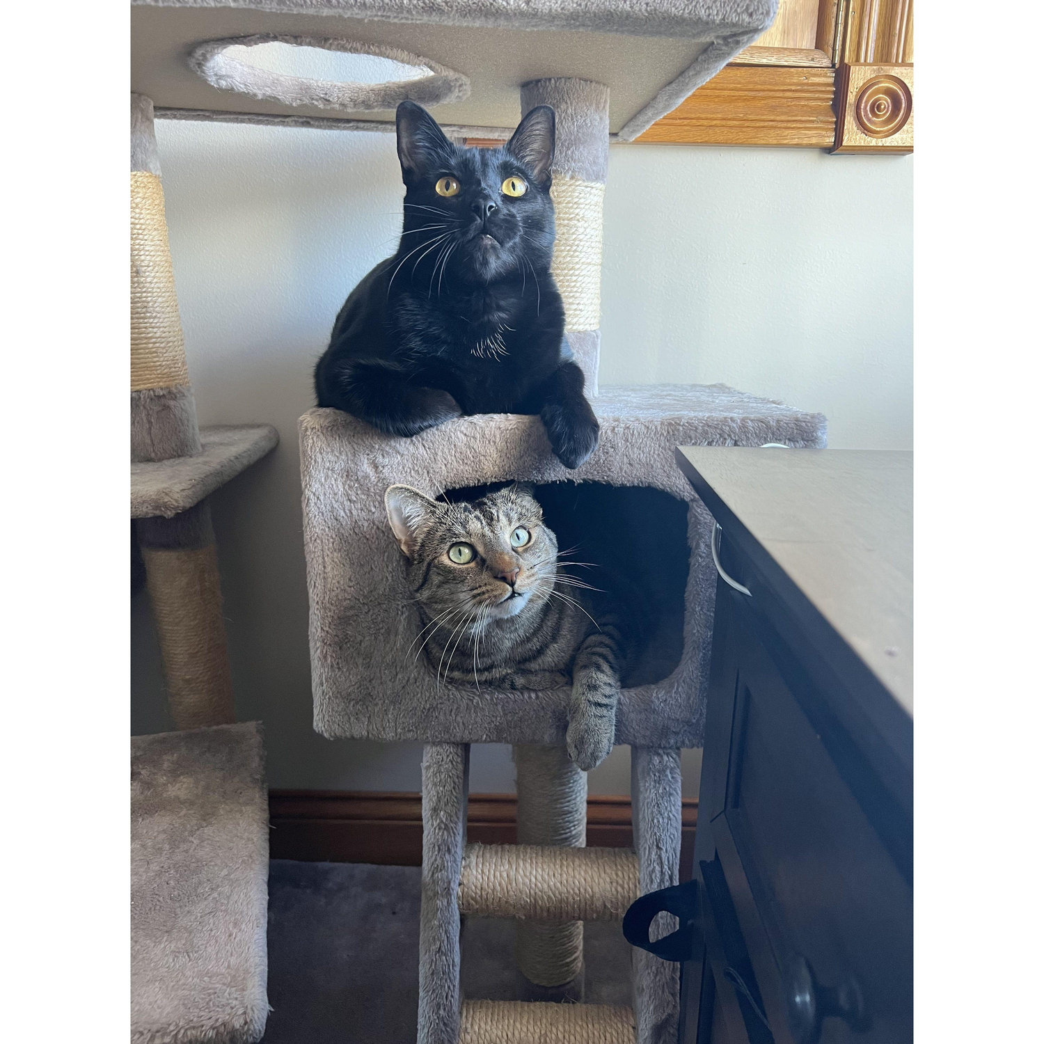 Brisket & Smokey