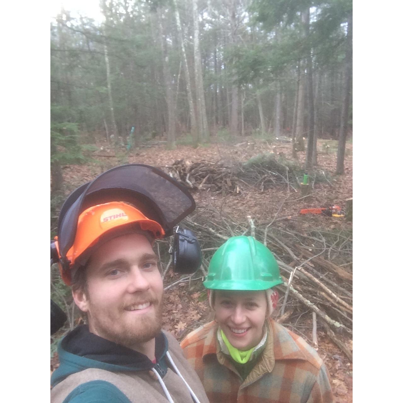 Clearing for the house site