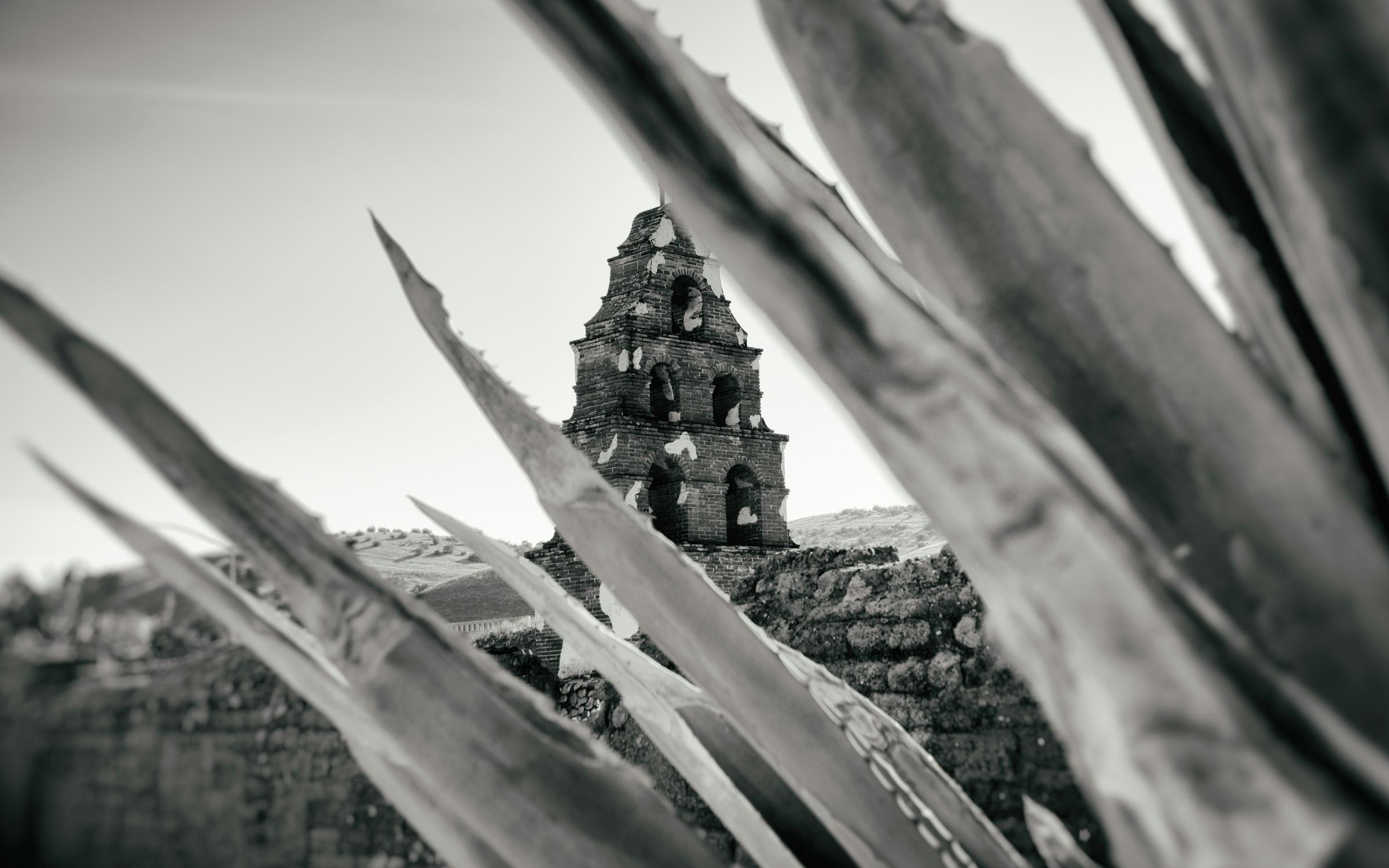 The Wedding Website of Jaime Lozoya and Sydney Kohlenberger