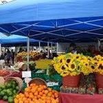 St. Petersburg Saturday Morning Market