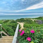 Steps Beach