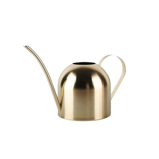 YISSN Small Indoor Watering Can for Houseplants Office Desk Plants Stainless Steel Mini Watering Can with Long Spout, 15oz/450ml (Gold)