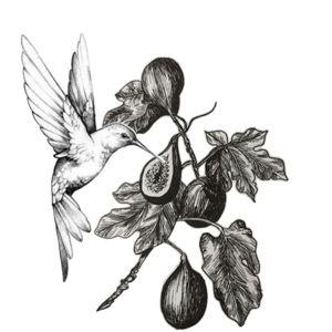 ✧ Nest Egg Fund ✧