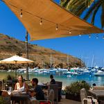 Harbor Reef Restaurant & Bar