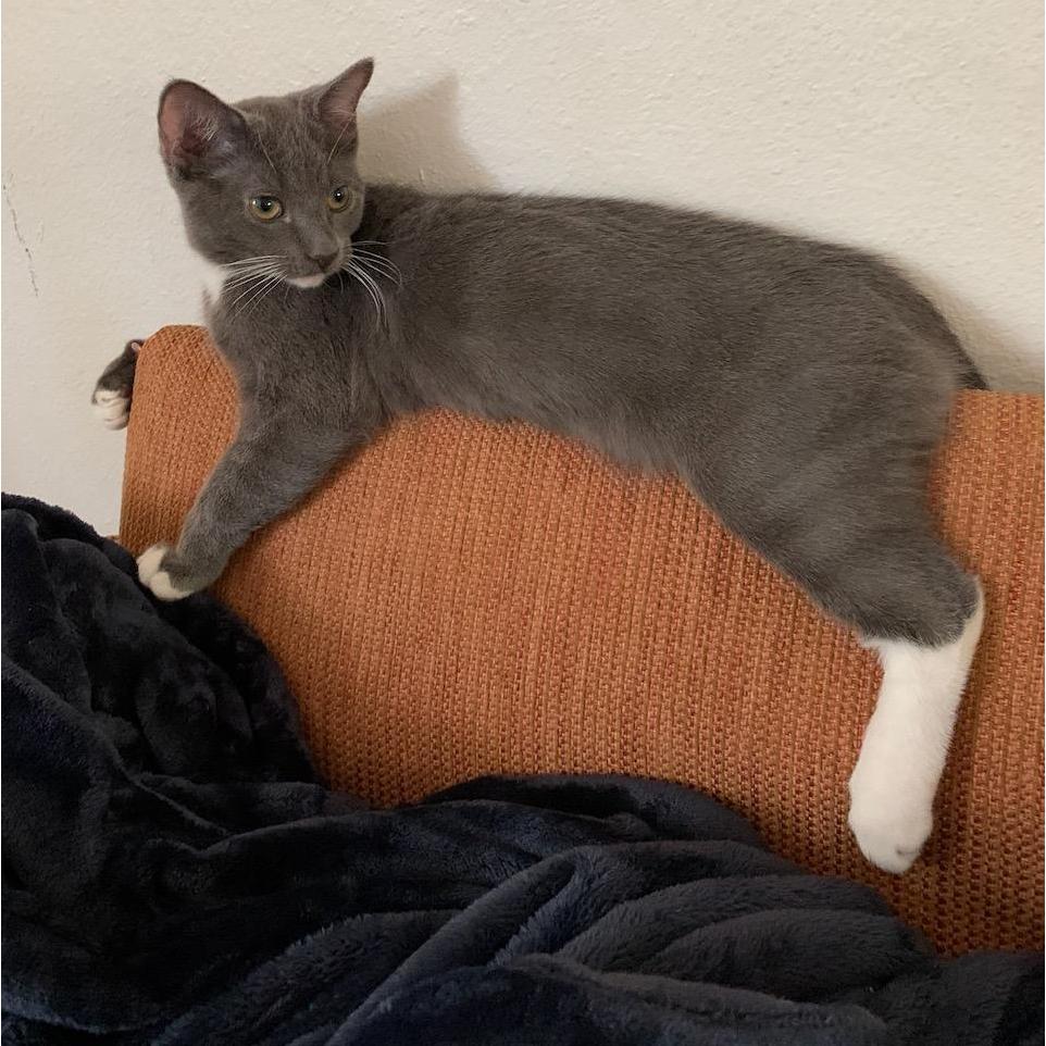 Our newest child, Herbert.