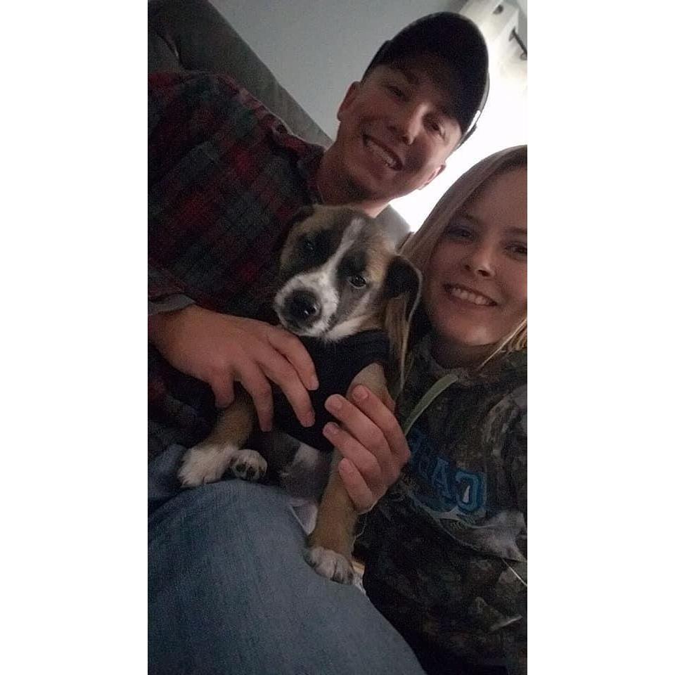 The day we got Bo.