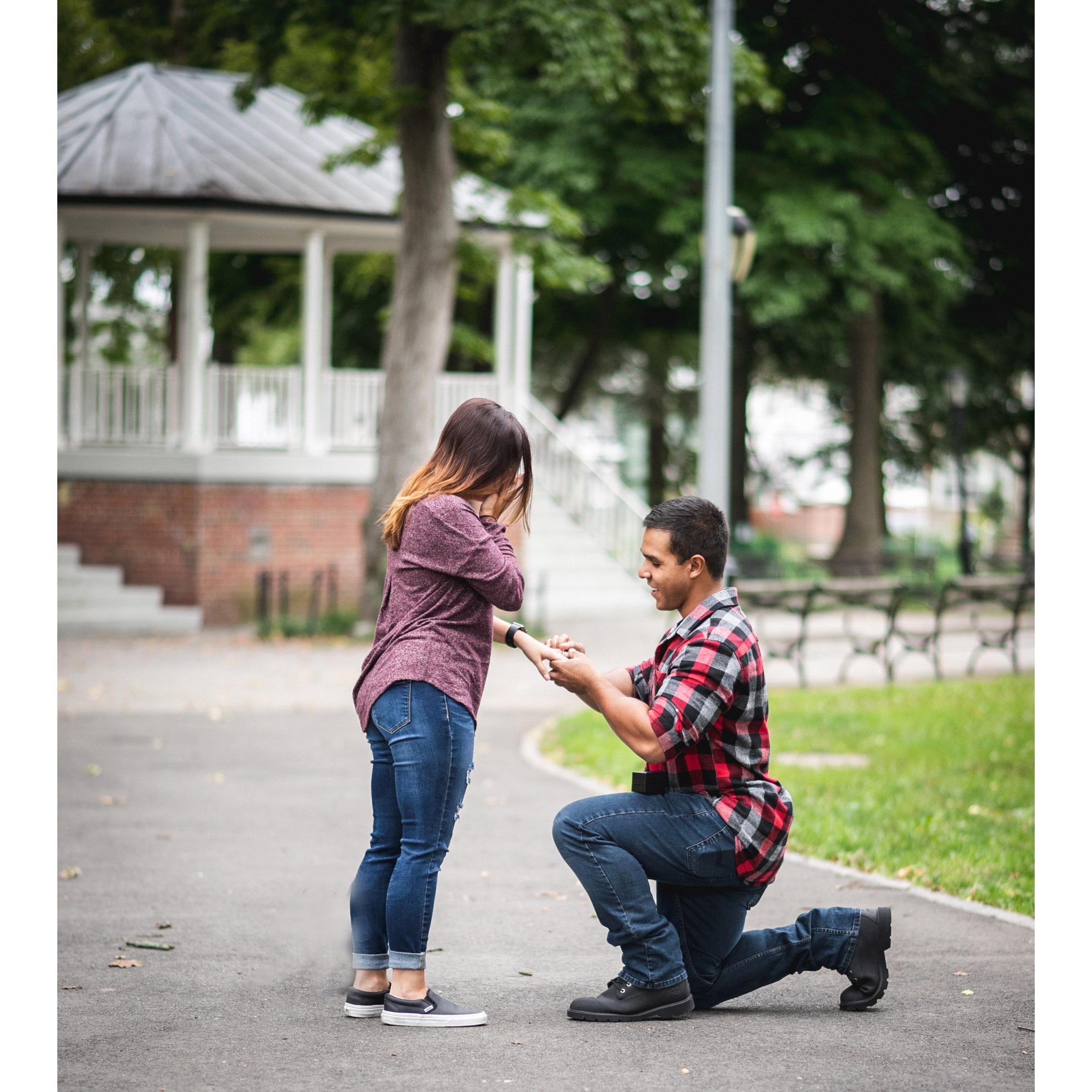 He asked, she said yes!