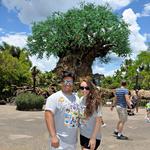 Disney's Animal Kingdom Theme Park