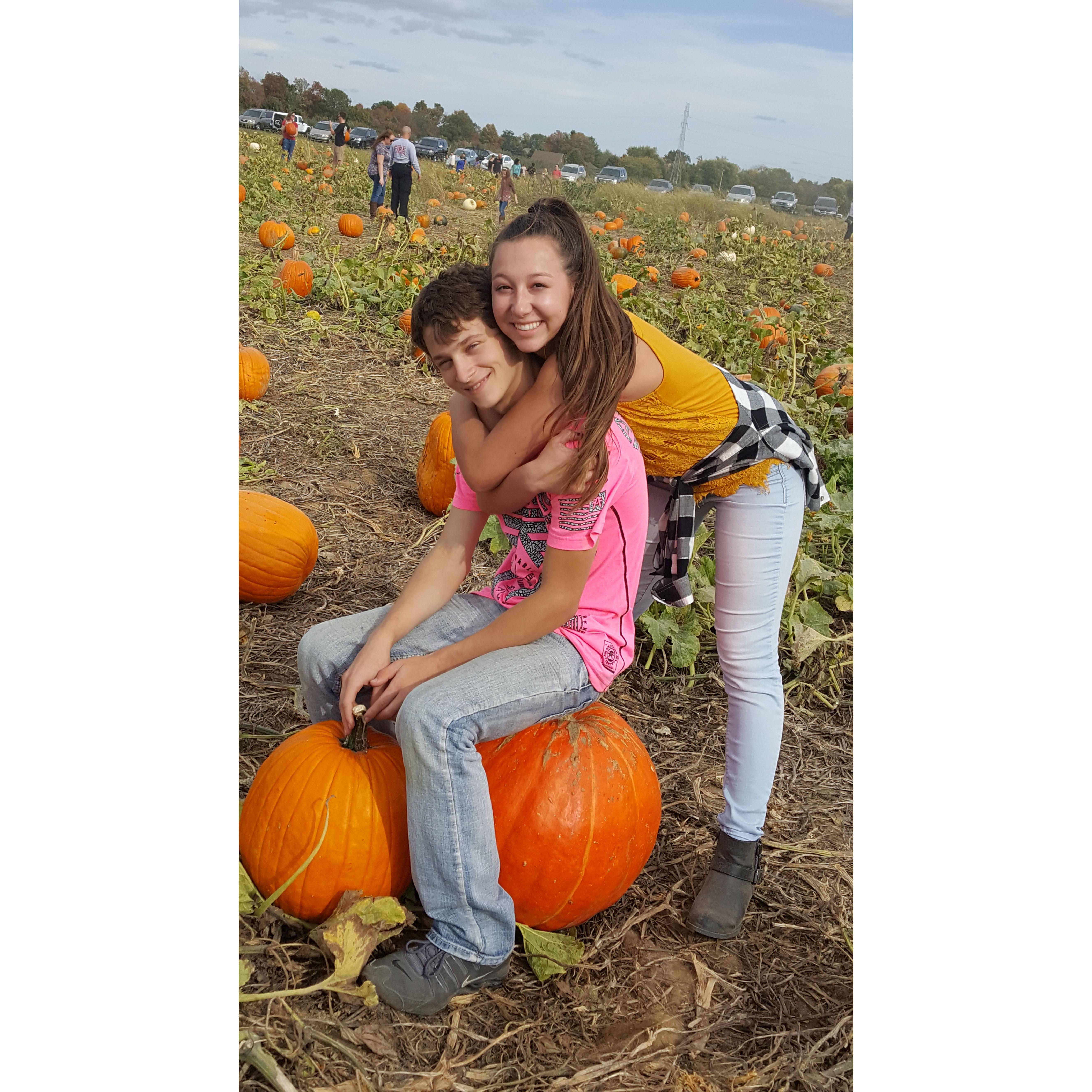 Huber's Pumpkin Patch- 2017