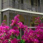 Garden Tours