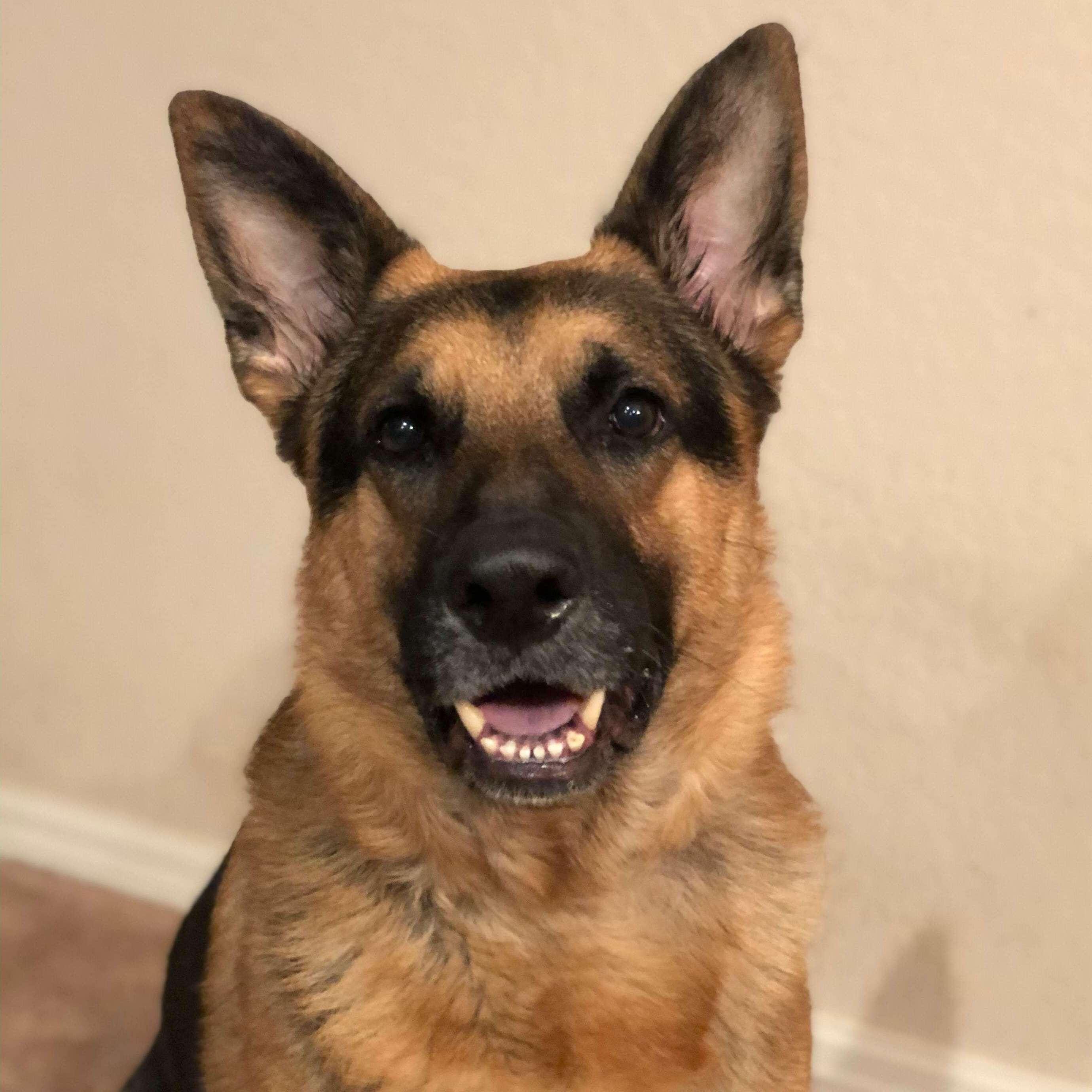 Diesel