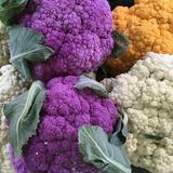 Tamworth Farmers' Market