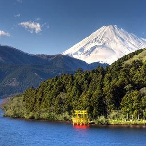 Honeymoon Hakone Day Trip