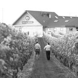 Newport Vineyards & Restaurant