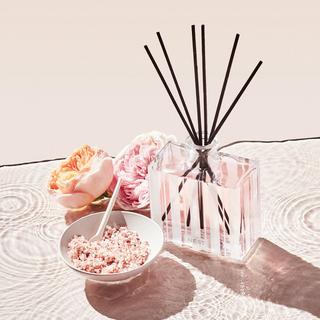 Wellness Himalayan Salt & Rosewater Reed Diffuser