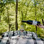Yadkin Valley Wineries