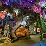 Meow Wolf