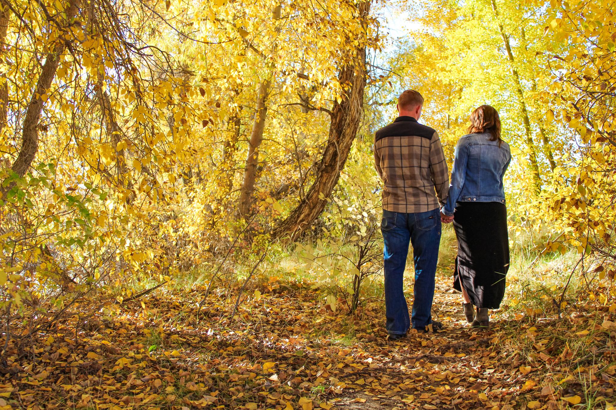 e4a1bca9-1f80-44d5-9351-c240407bf532