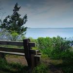 John H. Chafee Rome Point Preserve