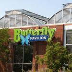 Butterfly Pavilion