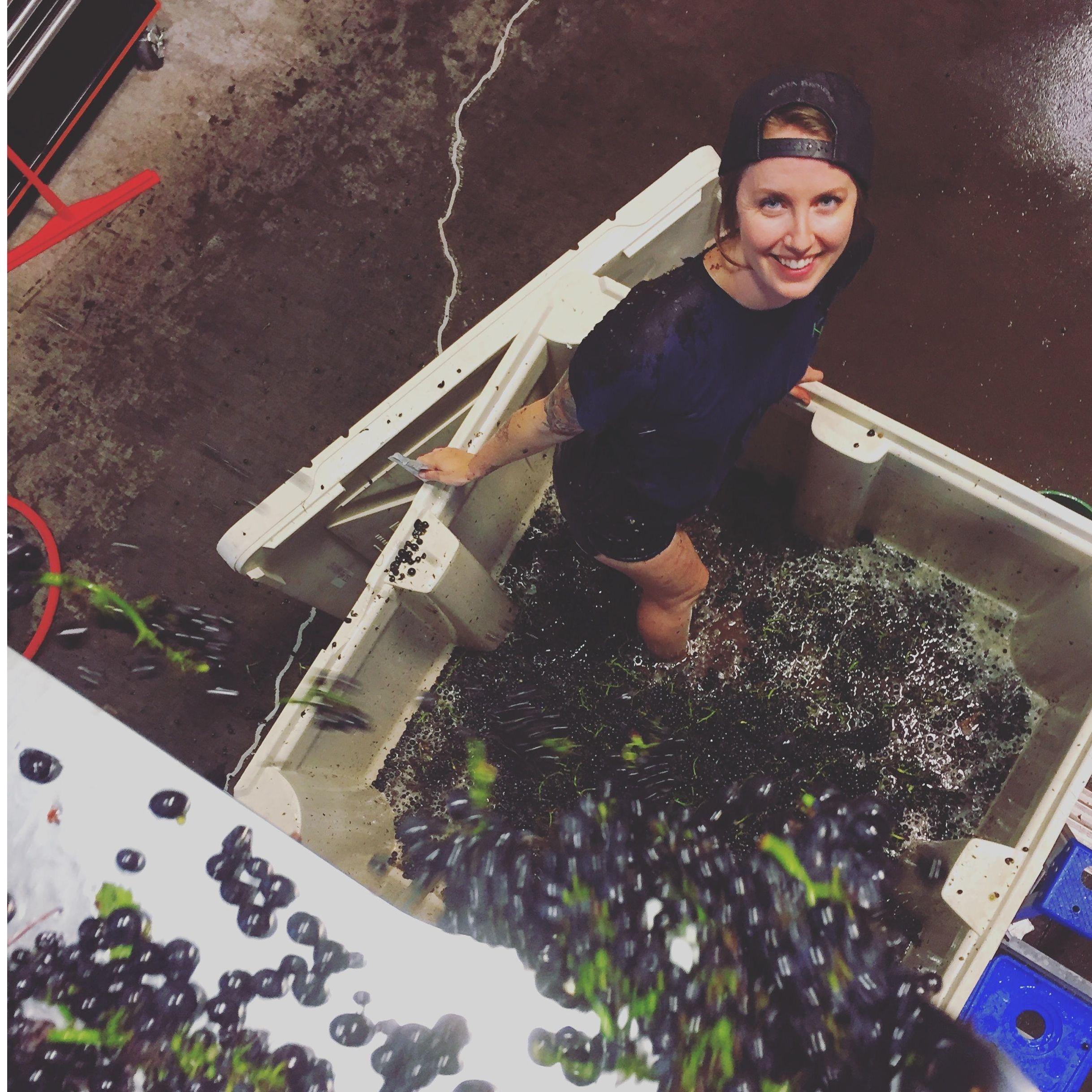 Caitlin working harvest where they met