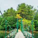 Wiggly Bridge