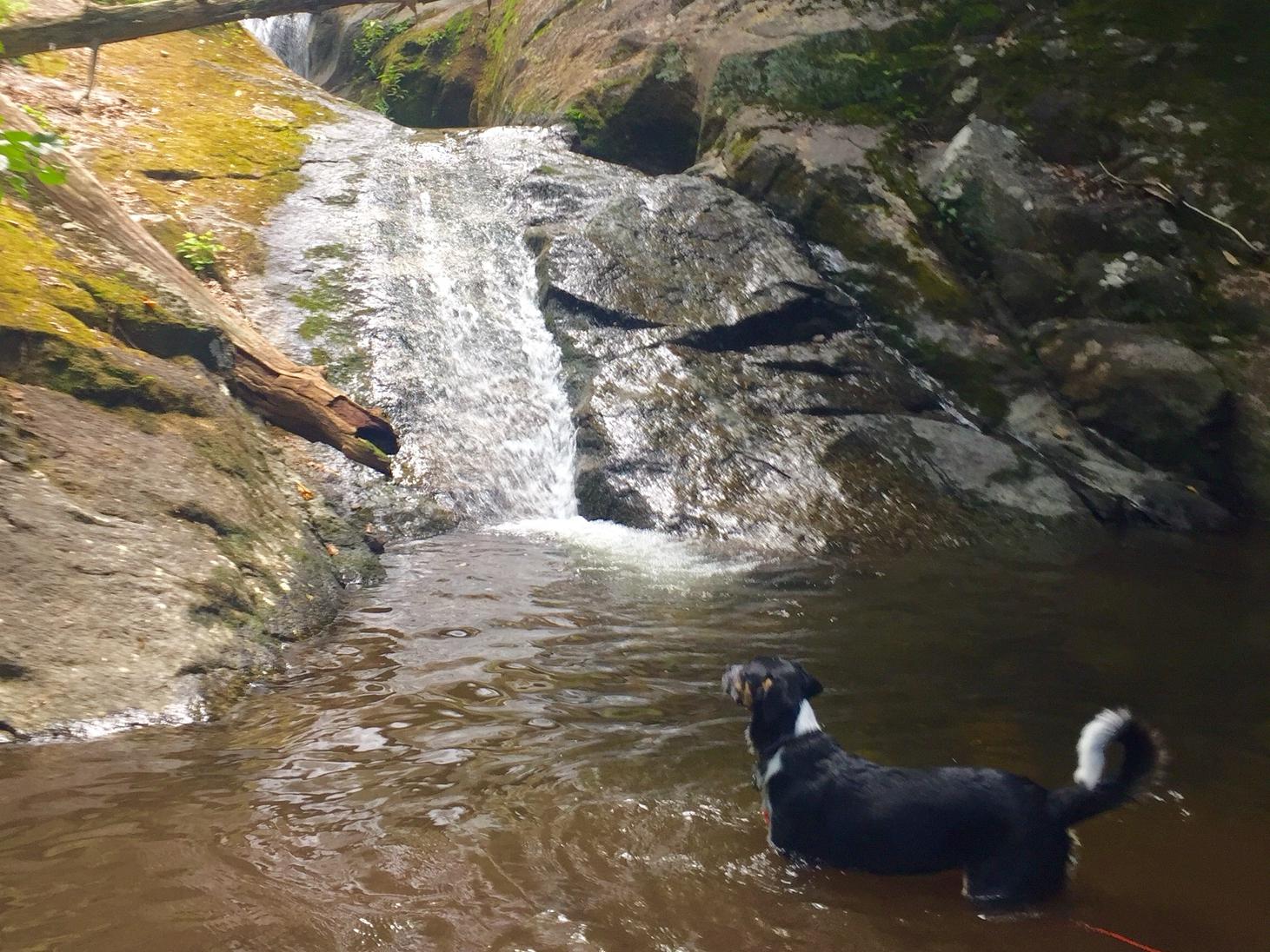 The Wedding Website of Garrett Watkins and Stephanie Rack