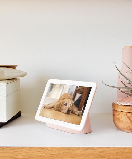 Nest Hub