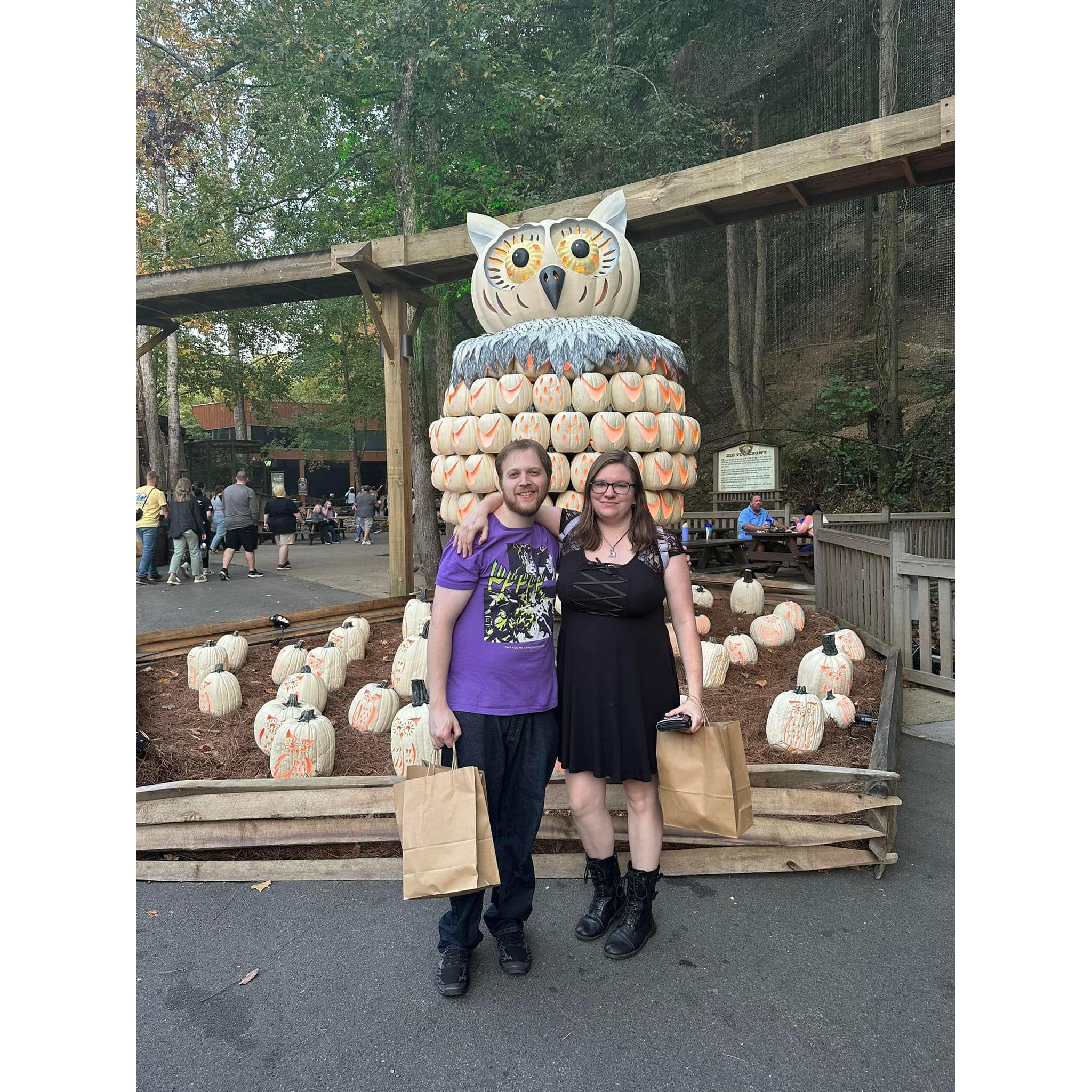 More fun in Dollywood!