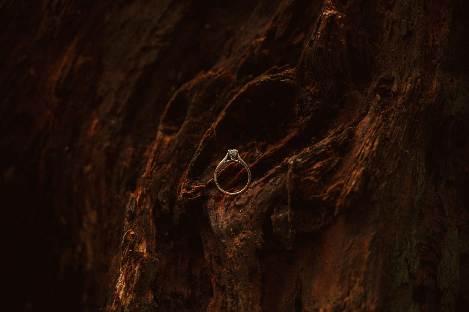 The Wedding Website of Adrianna Schutzler and Zac Harding
