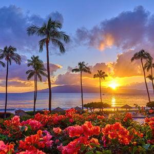 Fund Our Hawaiian Honeymoon