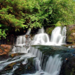 Alsea Falls