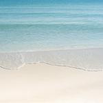 Tropic of Cancer Beach