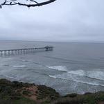 Pinpoint Cafe